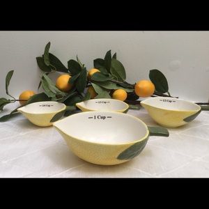 Measuring Cups/Lemon measuring cup Set